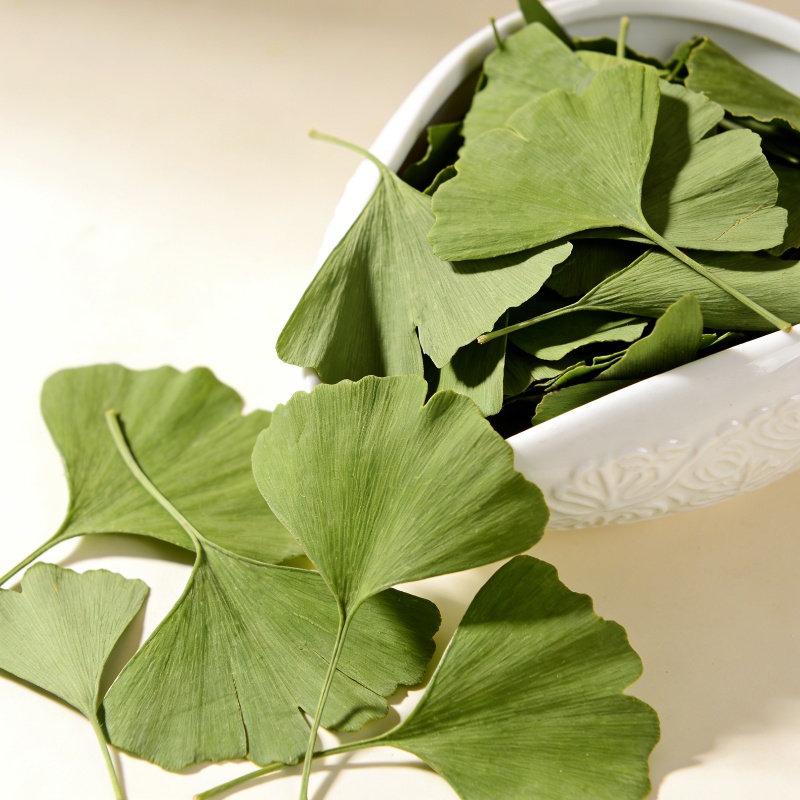 Jewelry Making 3 Year Old - Quality Ginkgo Biloba Dried Leaves For